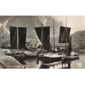 Svolv�r Havn. Lofotfisket. Ubr. Kval 1. / Knut J. Myrvang: NOK  40,-